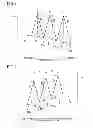 Fig. 06 - Optical element, imaging apparatus including the element, and method of manufacturing the optical element