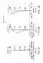 Fig. 22 - Zoom lens