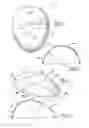 Fig. 02 - Teardrop shaped vehicular mirror