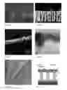 Fig. 02 - LAYER SYSTEM HAVING A LAYER OF CARBON NANOTUBES ARRANGED PARALLEL TO ONE ANOTHER AND AN ELECTRICALLY CONDUCTIVE SURFACE LAYER, METHOD FOR PRODUCING THE LAYER SYSTEM, AND USE OF THE LAYER SYSTEM IN MICROSYSTEM TECHNOLOGY