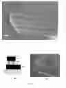 Fig. 06 - Electrically insulating elements and electrically conductive elements formed from elements having different oxidation behaviors