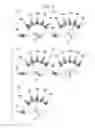 Fig. 04 - Illumination apparatus