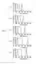 Fig. 05 - Illumination apparatus