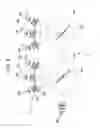 Fig. 09 - Illumination apparatus