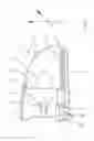 Fig. 02 - Vehicle headlamp