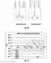 Fig. 07 - SYSTEMS AND METHODS FOR ELECTRONIC TRU INPUT PROTECTION