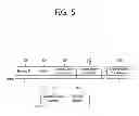 Fig. 06 - Method and apparatus for transmitting channel switching information