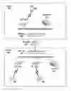 Fig. 01 - Overlaying virtual broadcast domains on an underlying physical network