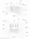 Fig. 13 - Silicon-based cooling package for light-emitting devices