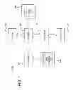 Fig. 02 - SINGLE-PATH VARIABLE BIT RATE VIDEO COMPRESSION