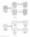 Fig. 02 - Multi-layer interlace frame-compatible enhanced resolution video delivery