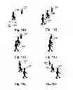 Fig. 15 - Method, system and apparatus for tracking objects of a scene