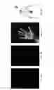 Fig. 07 - Biometric recognition