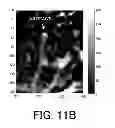 Fig. 22 - Object information acquiring apparatus and control method of object information acquiring apparatus