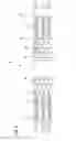 Fig. 07 - Fiber tray organizer systems and methods