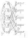 Fig. 29 - Network with a fast-switching optical core providing widely varying flow-rate allocations