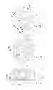 Fig. 05 - Assembly for protecting an item of merchandise against theft, which can be assembled in a temporary manner