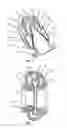 Fig. 02 - VOLUTE
