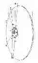 Fig. 04 - VERTICAL AXIS WIND TURBINE