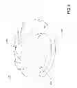 Fig. 09 - Methods of operating a rotary blood pump