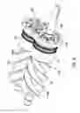 Fig. 07 - Bearing insert having flattened portion and fluid machine having the same