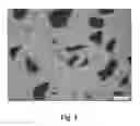Fig. 02 - Hard metal composition