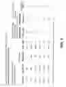 Fig. 04 - Boundary layer carbonation of trona