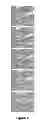 Fig. 03 - Materials and methods useful to induce cell death via methuosis