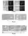 Fig. 04 - Materials and methods useful to induce cell death via methuosis