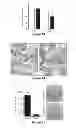 Fig. 08 - Materials and methods useful to induce cell death via methuosis