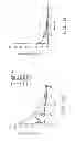 Fig. 09 - SPECIFIC BINDING PROTEINS AND USES THEREOF