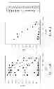 Fig. 43 - SPECIFIC BINDING PROTEINS AND USES THEREOF