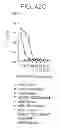 Fig. 46 - SPECIFIC BINDING PROTEINS AND USES THEREOF