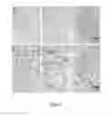 Fig. 13 - TSPO-targeting compounds and uses thereof