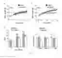 Fig. 66 - Methods for treating obesity