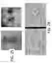Fig. 16 - Detection Of Targeted Biological Substances Using Magnetic Relaxation Of Individual Nanoparticles