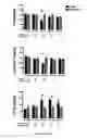 Fig. 03 - Methods of treating a subject afflicted with an autoimmune disease using predictive biomarkers of clinical response to glatiramer acetate therapy in multiple sclerosis