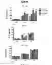 Fig. 05 - Methods of treating a subject afflicted with an autoimmune disease using predictive biomarkers of clinical response to glatiramer acetate therapy in multiple sclerosis