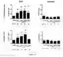 Fig. 07 - Methods of treating a subject afflicted with an autoimmune disease using predictive biomarkers of clinical response to glatiramer acetate therapy in multiple sclerosis