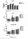 Fig. 08 - Methods of treating a subject afflicted with an autoimmune disease using predictive biomarkers of clinical response to glatiramer acetate therapy in multiple sclerosis