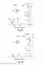 Fig. 06 - METHOD OF ASSESSING RISK OF PML