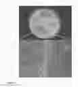 Fig. 05 - Process for biologically combating 