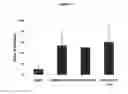 Fig. 02 - Use of chromobacterium substugage formulations, compositions and compounds to modulate cornworm rootworm larvae infestation