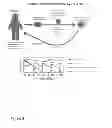 Fig. 04 - Methods of using ZSCAN4 for rejuvenating human cells