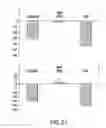 Fig. 22 - METHODS AND COMPOSITONS FOR TREATMENT OF BONE DEFECTS WITH PLACENTAL CELL POPULATIONS