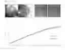 Fig. 08 - Canine amniotic membrane-derived multipotent stem cells