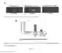 Fig. 08 - INDUCIBLE EXPRESSION CASSETTE, AND USES THEREOF
