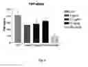 Fig. 04 - COMPOSITION COMPRISING VICENIN-2 HAVING A BENEFICIAL EFFECT ON NEUROLOGICAL AND/OR COGNITIVE FUNCTION