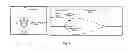 Fig. 02 - Methods of identifying critically ill patients at increased risk of development of organ failure and compounds for the treatment hereof