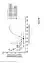 Fig. 06 - Administration of alpha4beta7 hetero-dimer-specific antibody
